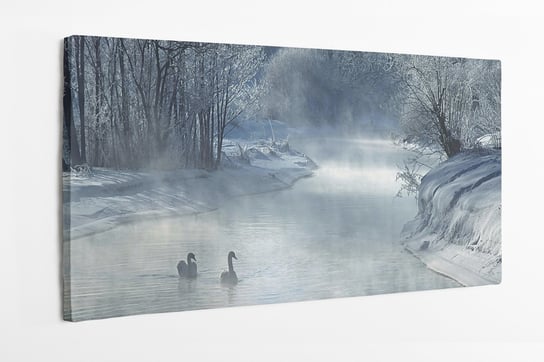 Obraz na płótnie HOMEPRINT, łabędzi, zima, jezioro, zimowy spokojny strumień 120x60 cm HOMEPRINT