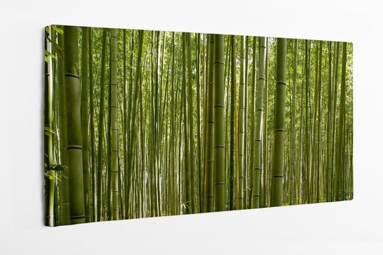 Obraz na płótnie HOMEPRINT, las bambusowy w Kyoto, Japonia, flora 120x60 cm HOMEPRINT