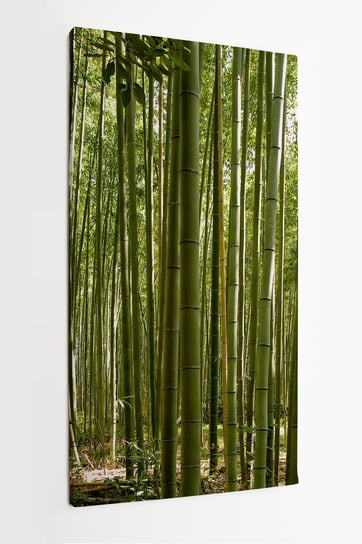 Obraz na płótnie HOMEPRINT, las bambusowy w Kyoto, Japonia, flora 60x120 cm HOMEPRINT