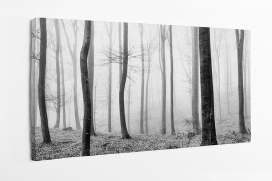 Obraz na płótnie HOMEPRINT, las, czarno-biały, drzewa, zima 100x50 cm HOMEPRINT