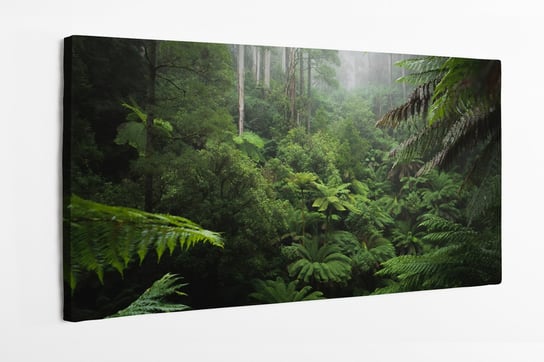 Obraz na płótnie HOMEPRINT, las deszczowy, las tropikalny, dżungla 120x60 cm HOMEPRINT