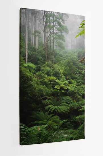 Obraz na płótnie HOMEPRINT, las deszczowy, las tropikalny, dżungla 60x120 cm HOMEPRINT