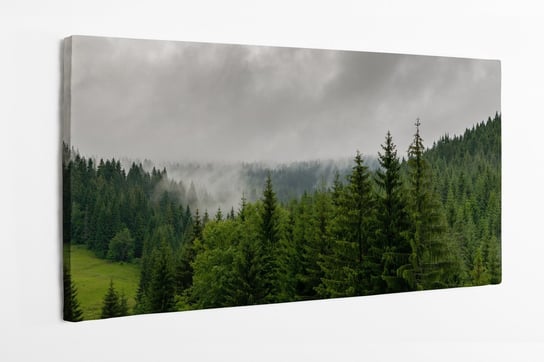 Obraz na płótnie HOMEPRINT, las iglasty, chwila przed burzą, mgła, zamglony 120x60 cm HOMEPRINT