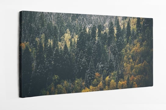 Obraz na płótnie HOMEPRINT, las iglasty, widok z góry, jesień, krajobraz 120x60 cm HOMEPRINT