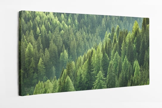 Obraz na płótnie HOMEPRINT, las, natura, zieleń, las iglasty, las górski, las 120x50 cm HOMEPRINT