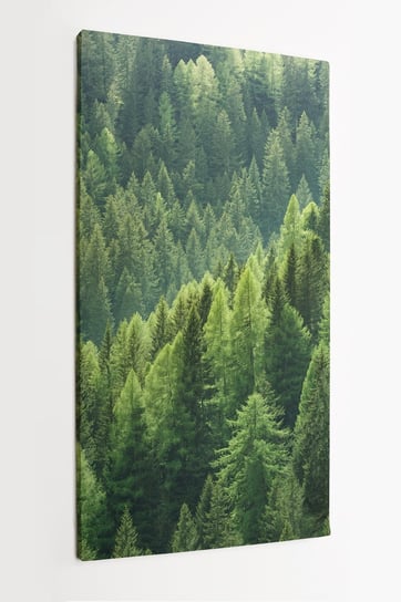 Obraz na płótnie HOMEPRINT, las, natura, zieleń, las iglasty, las górski, las 50x100 cm HOMEPRINT