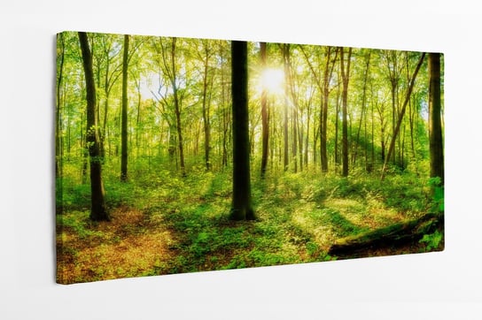 Obraz na płótnie HOMEPRINT, las, promienie słońca, dzika przyroda 120x60 cm HOMEPRINT