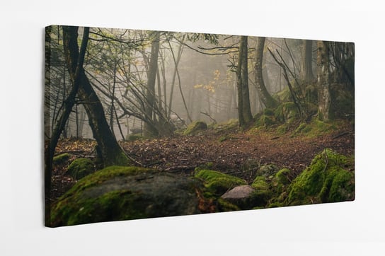 Obraz na płótnie HOMEPRINT, las, ścieżka w lesie, mgła, zamglony las 120x50 cm HOMEPRINT