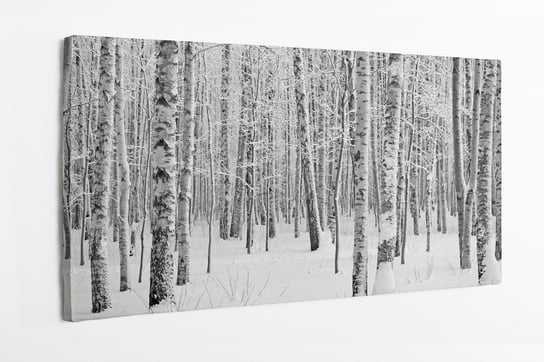 Obraz na płótnie HOMEPRINT, las sosnowy zimą 100x50 cm HOMEPRINT