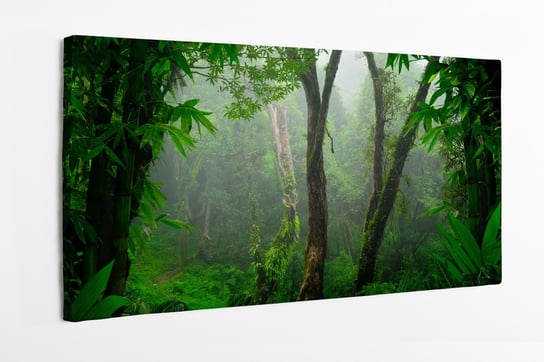 Obraz na płótnie HOMEPRINT, las tropikalny, Azja 100x50 cm HOMEPRINT