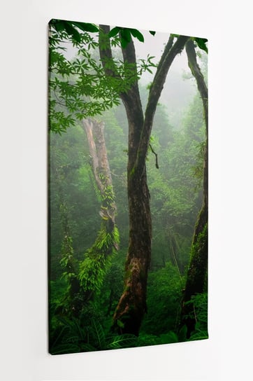 Obraz na płótnie HOMEPRINT, las tropikalny, Azja 50x100 cm HOMEPRINT