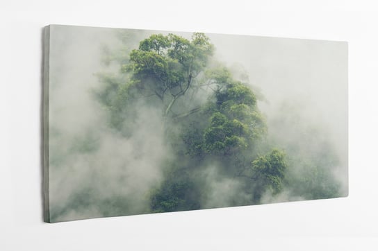 Obraz na płótnie HOMEPRINT, las tropikalny, las za mgłą, mgła, drzewo, poranek 120x50 cm HOMEPRINT