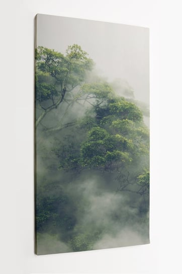 Obraz na płótnie HOMEPRINT, las tropikalny, las za mgłą, mgła, drzewo, poranek 60x120 cm HOMEPRINT