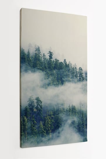 Obraz na płótnie HOMEPRINT, las we mgle 60x120 cm HOMEPRINT