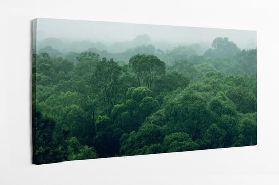 Obraz na płótnie HOMEPRINT,  Las we mgle, drzewa 140x70 cm HOMEPRINT