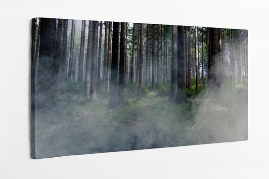 Obraz na płótnie HOMEPRINT, las we mgle, wysokie drzewa, zamglony las 120x60 cm HOMEPRINT