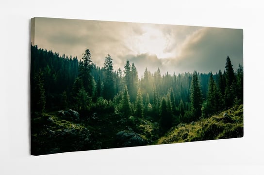 Obraz na płótnie HOMEPRINT, las, wschodzące słońce, poranek 140x70 cm HOMEPRINT