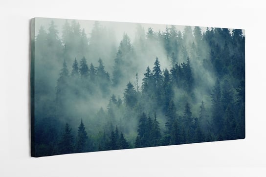 Obraz na płótnie HOMEPRINT, las za mgłą, we mgle, zamglony, mroczny 120x60 cm HOMEPRINT