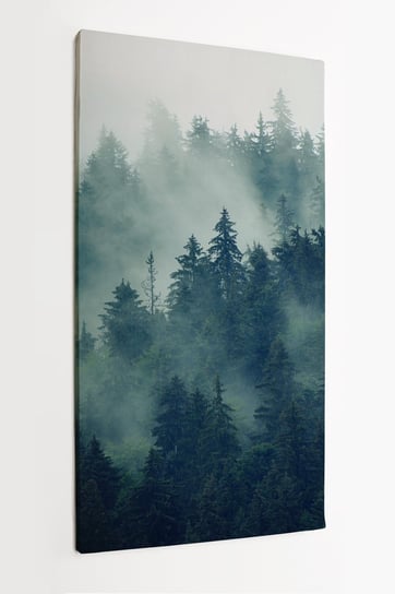 Obraz na płótnie HOMEPRINT, las za mgłą, we mgle, zamglony, mroczny 50x100 cm HOMEPRINT