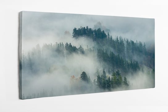 Obraz na płótnie HOMEPRINT, las za mgłą, zamglony las iglasty 140x70 cm HOMEPRINT