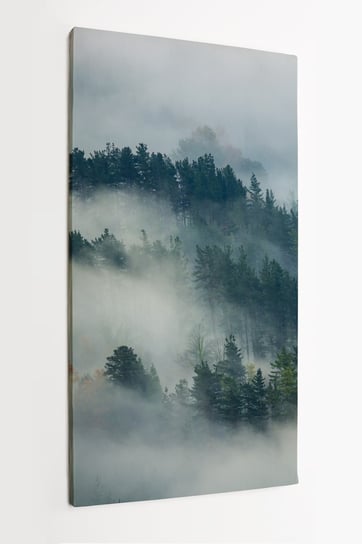 Obraz na płótnie HOMEPRINT, las za mgłą, zamglony las iglasty 60x120 cm HOMEPRINT