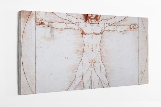 Obraz na płótnie HOMEPRINT, Leonardo da Vinci, Schemat proporcji postaci ludzkiej według Witruwiusza 100x50 cm HOMEPRINT