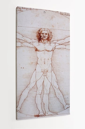 Obraz na płótnie HOMEPRINT, Leonardo da Vinci, Schemat proporcji postaci ludzkiej według Witruwiusza 60x120 cm HOMEPRINT