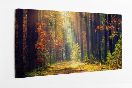 Obraz na płótnie HOMEPRINT, leśna ścieżka w jesienny poranek 140x70 cm HOMEPRINT