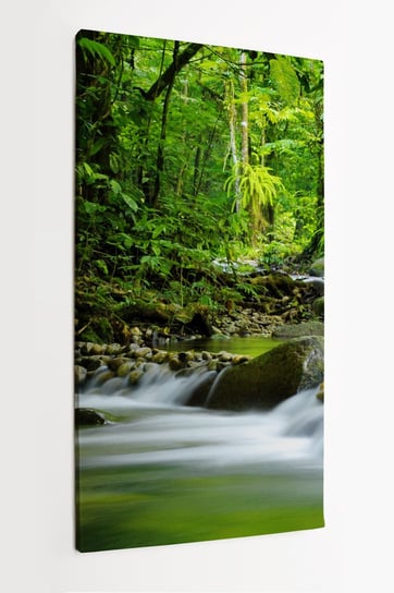 Obraz na płótnie HOMEPRINT, leśny strumień, flora, rośliny 60x120 cm HOMEPRINT