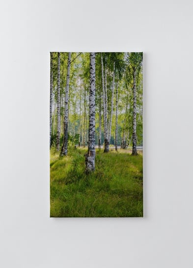 Obraz na płótnie HOMEPRINT, letni gaj brzozowy nad rzeką w słoneczny dzień, na skraju lasu z trawą. 50x100 cm HOMEPRINT
