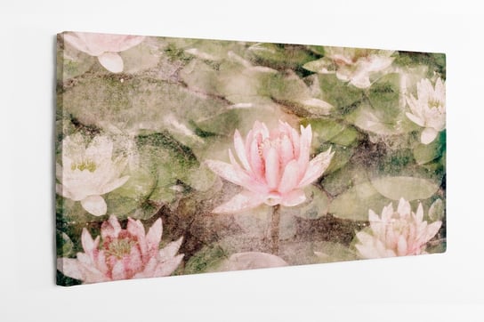 Obraz na płótnie HOMEPRINT, lilia wodna, rośliny, różowe kwiaty, kwiaty na wodznie 100x50 cm HOMEPRINT