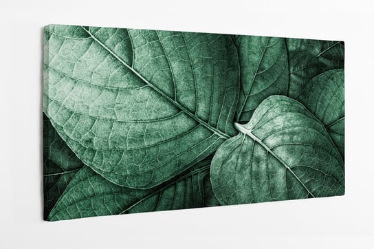 Obraz na płótnie HOMEPRINT, liście, natura, zbliżenie, detale, zielone 100x50 cm HOMEPRINT