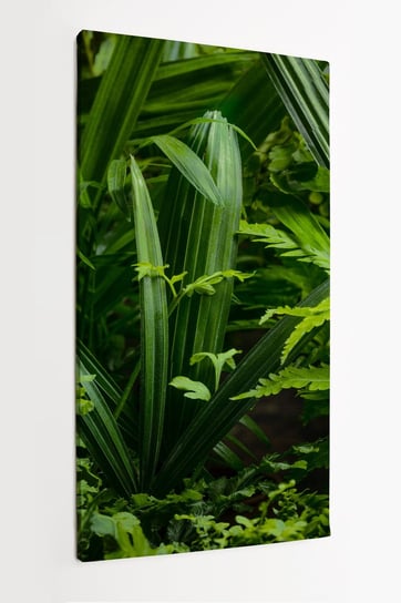 Obraz na płótnie HOMEPRINT, liście po deszczu, paproć, czużyca 50x100 cm HOMEPRINT