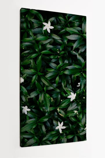Obraz na płótnie HOMEPRINT, małe białe kwiaty na tle zielonych liści 50x100 cm HOMEPRINT