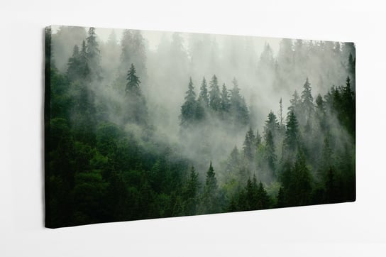 Obraz na płótnie HOMEPRINT, mgła, las za mgłą, zamglony las, góry 100x50 cm HOMEPRINT