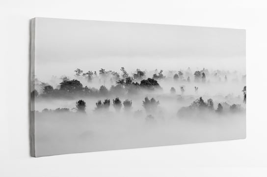 obraz na płótnie HOMEPRINT, mgła nad lasem, czarno-białe, fotografia minimalistyczna 120x60 cm HOMEPRINT
