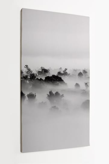 obraz na płótnie HOMEPRINT, mgła nad lasem, czarno-białe, fotografia minimalistyczna 60x120 cm HOMEPRINT