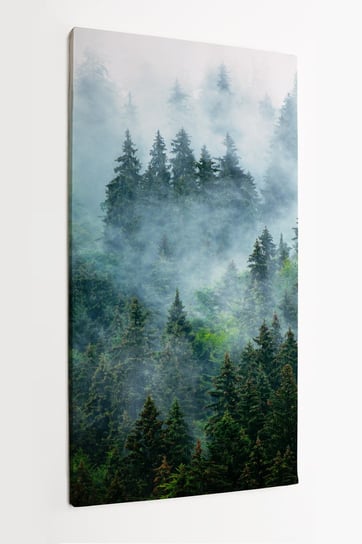 Obraz na płótnie HOMEPRINT, mglisty górski krajobraz, las górski 60x120 cm HOMEPRINT