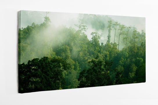 Obraz na płótnie HOMEPRINT, mglisty las deszczowy 120x60 cm HOMEPRINT