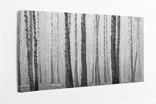 Obraz na płótnie HOMEPRINT, mglisty las sosnowy o poranku 140x70 cm HOMEPRINT