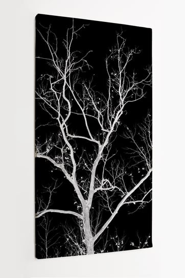 Obraz na płótnie HOMEPRINT, nagie białe drzewo na czarnym tle, zima, nagatyw 50x100 cm HOMEPRINT