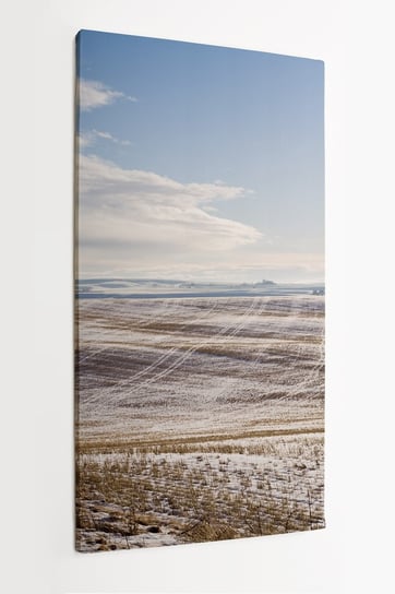 Obraz na płótnie HOMEPRINT, ośnieżone pola, słoneczny krajobraz, zima, panorama 60x120 cm HOMEPRINT