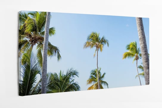 Obraz na płótnie HOMEPRINT, palmy kokosowe i dziewicza plaża Bounty 120x60 cm HOMEPRINT