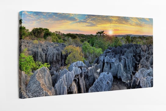 Obraz na płótnie HOMEPRINT, panorama, dzika przyroda, zachód słońca, Madagaskar 100x50 cm HOMEPRINT