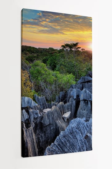 Obraz na płótnie HOMEPRINT, panorama, dzika przyroda, zachód słońca, Madagaskar 50x100 cm HOMEPRINT