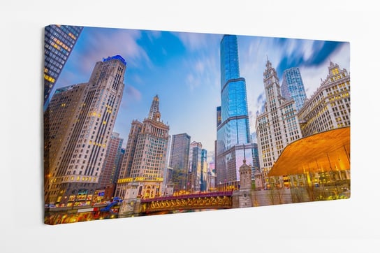 Obraz na płótnie HOMEPRINT, panorama miasta Chicago, Stany Zjednoczone 100x50 cm HOMEPRINT
