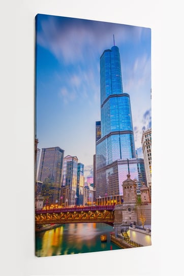 Obraz na płótnie HOMEPRINT, panorama miasta Chicago, Stany Zjednoczone 50x100 cm HOMEPRINT