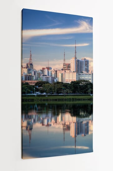 Obraz na płótnie HOMEPRINT, panorama miasta, park Ibirapuera, Sao Paulo, Brazylia 60x120 cm HOMEPRINT