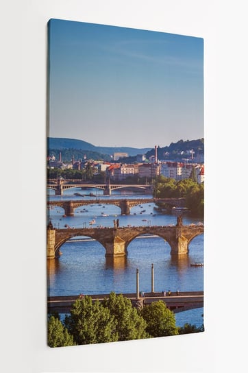 Obraz na płótnie HOMEPRINT, panorama miasta Praga, most Karla, Czechy, Republika Czeska 50x100 cm HOMEPRINT