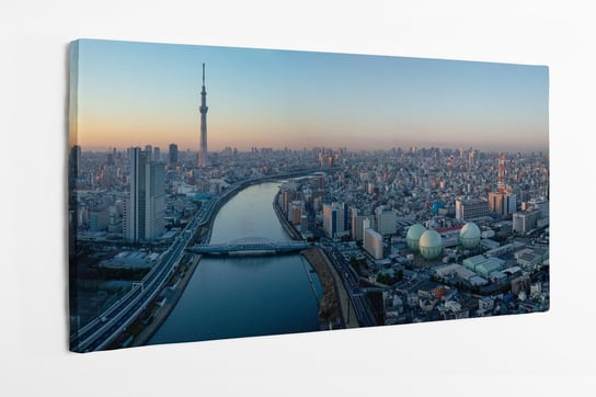 Obraz na płótnie HOMEPRINT, panorama miasta Tokio, Japonia 120x50 cm HOMEPRINT